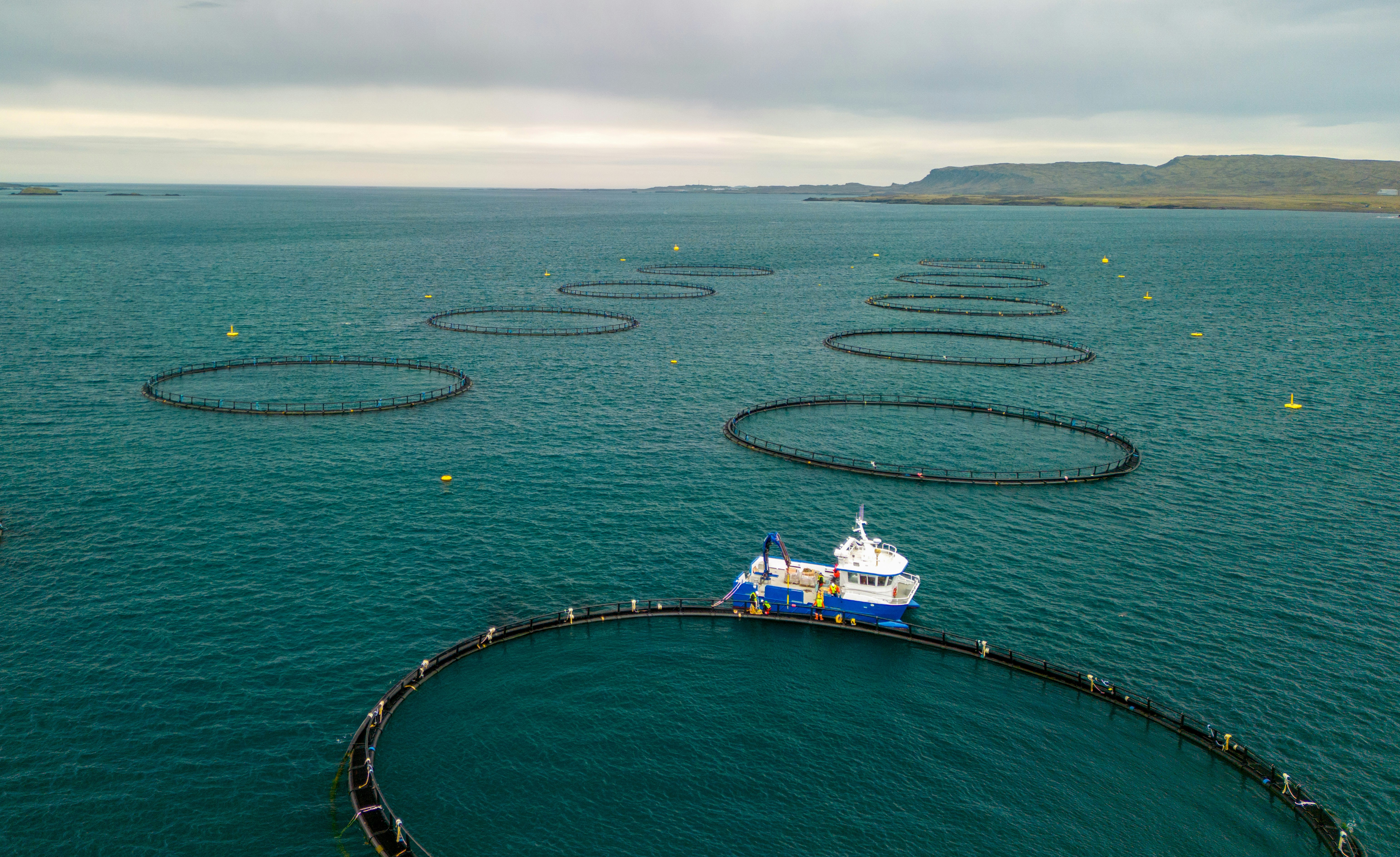 Aquaculture